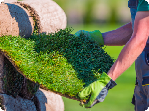 Mask group (5) Landscaper Turramurra