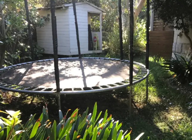 Before-after-Dudley-1 Backyard with trampoline