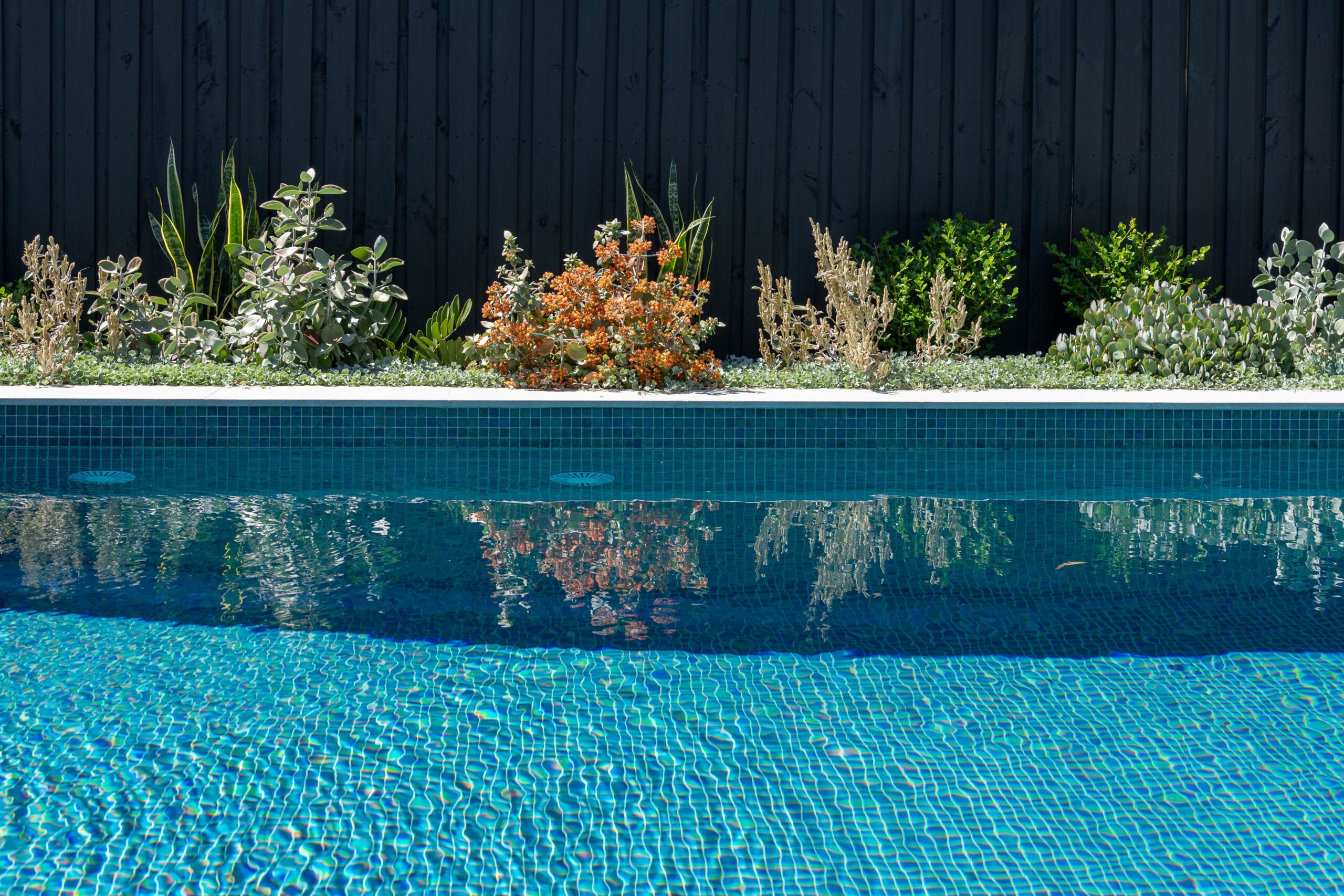residential pool landscaping